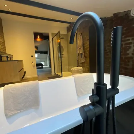 Appartement Sfeervol Monumentaal Pand Maastricht