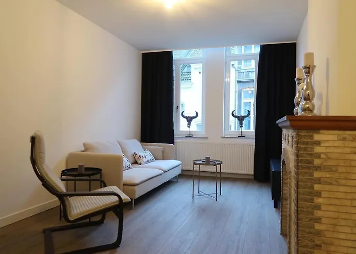 Apartamento Sfeervol Monumentaal Pand Maastricht